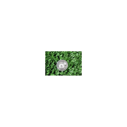 Henselite Lucky Coin