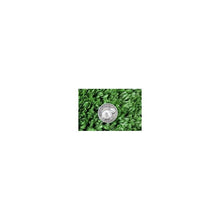 Load image into Gallery viewer, Henselite Lucky Coin
